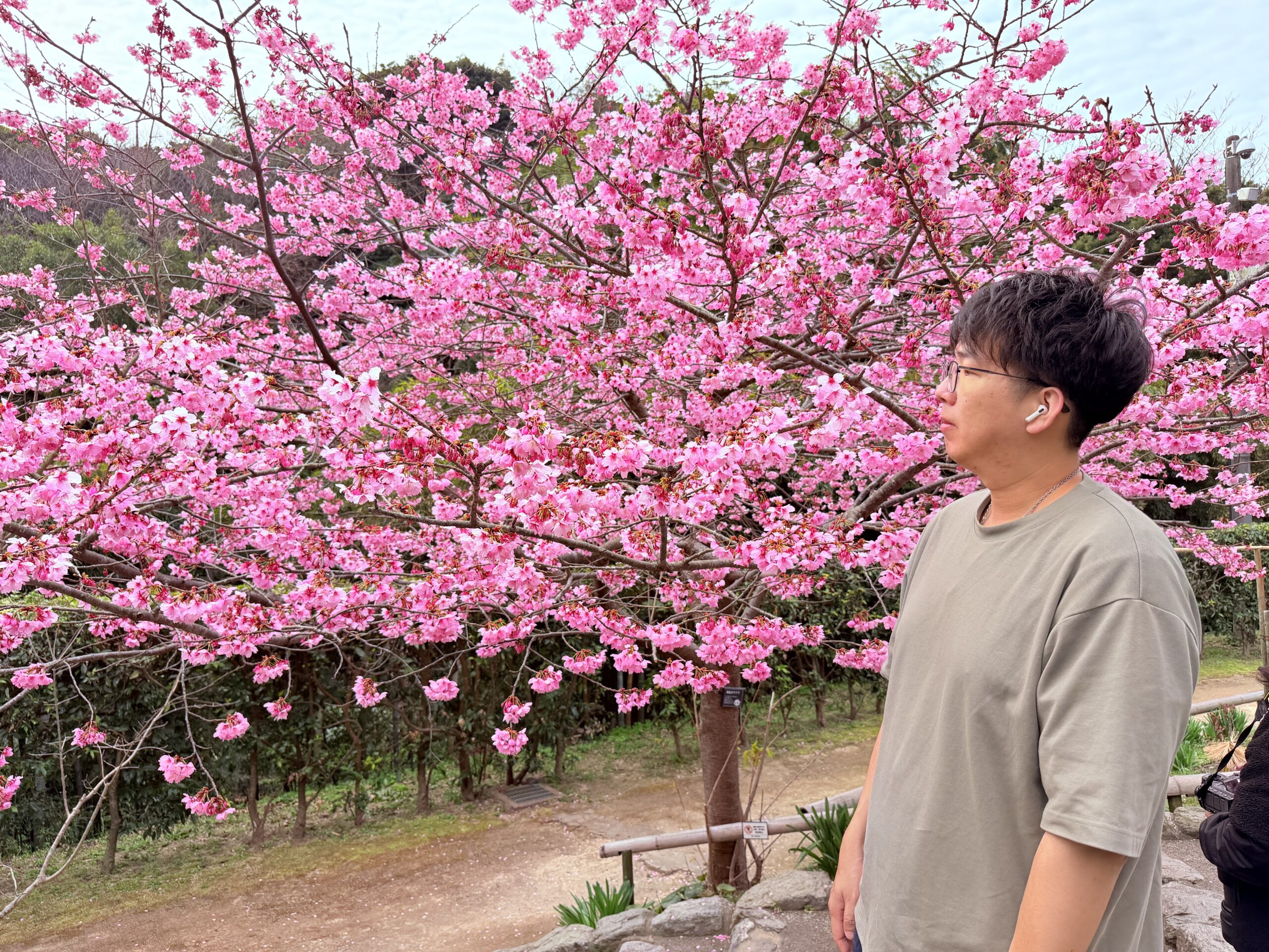 ゆずのアバター